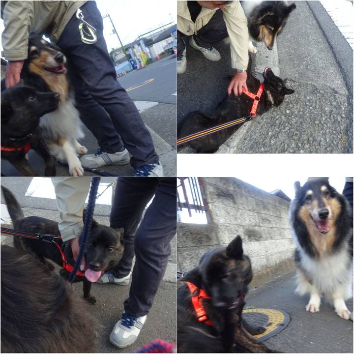 C98a427b 042b 42d6 b1fe 0a01c85c84f0 1592917694548