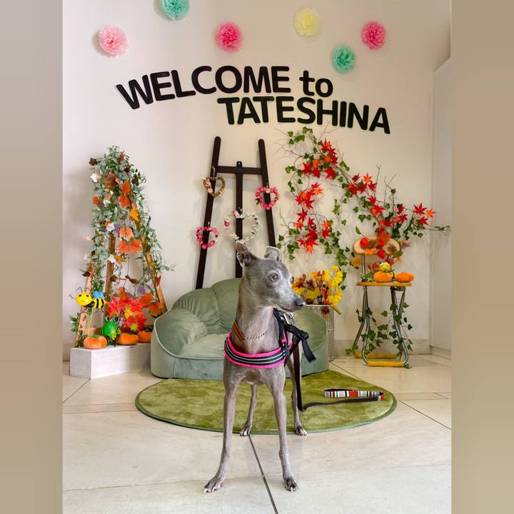 C98a4b8c d906 4c9f 8bea 5e98f0a554d7 1758366790030