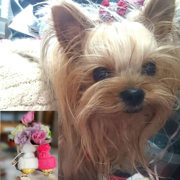 C98a4fd5 5081 42a0 a192 26a8a47ebcf4 1702283915002