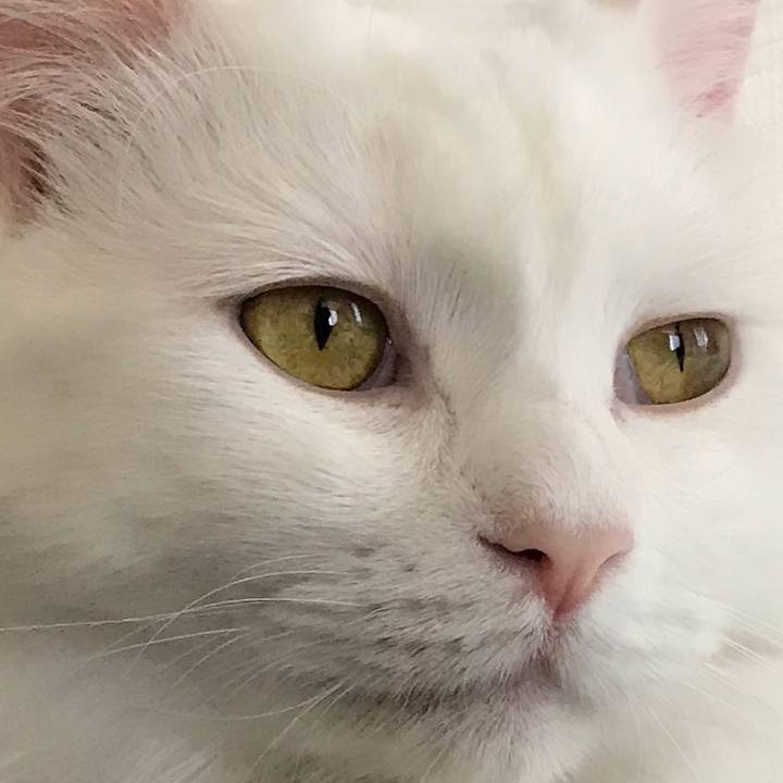 C98a5b83 39b8 493e 92ba 9dfad7a345b6 1530348533510