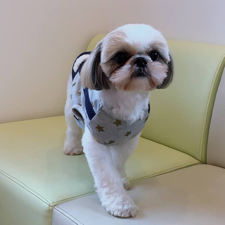 C98a7976 4f16 462b 94f8 e18a1692d9b6 1587189565746