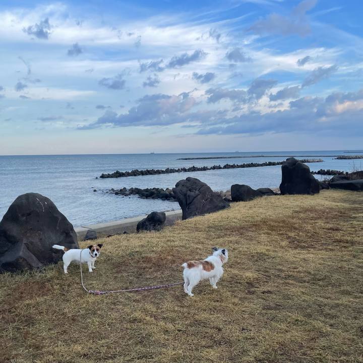 C98a9c4f e433 4f21 98f0 2ab2e539aa0e 1762991968660