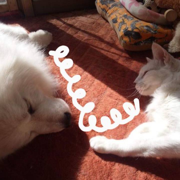 C98acb5b ede1 4207 8d72 6442855a86b9 1687042310114