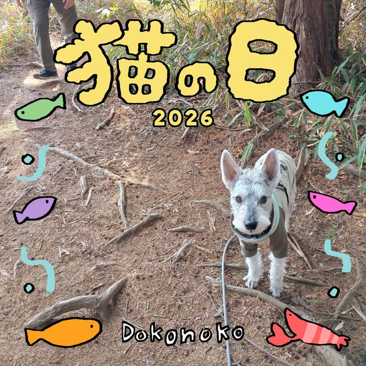 C98af1ca 7fb5 415f 97a1 28147709ab15 1771759511517