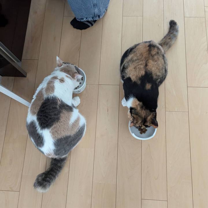 C98b5d28 d8d6 4731 861f 9cf410518453 1735542038393