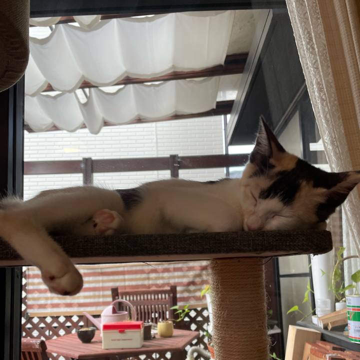 C98b6a03 ed9e 41c0 92d2 037668593aae 1661118768828