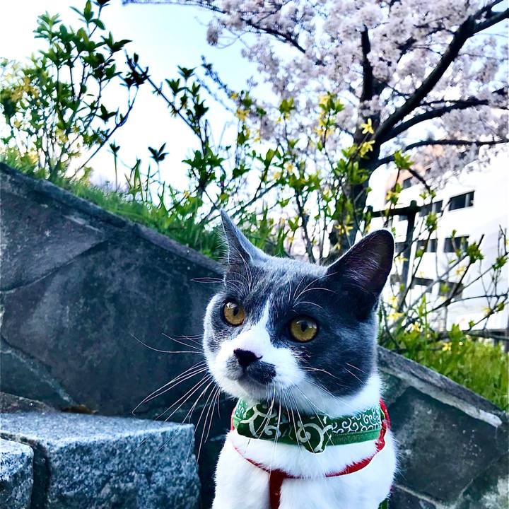 C98bf5c0 f047 4e57 b56e cd6d0a92dc17 1744045719485