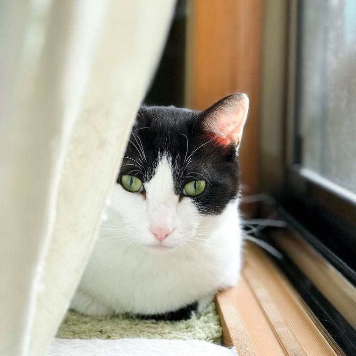 C98c033d 9a8e 487b 99b7 6657f74e5b6d 1525526198778