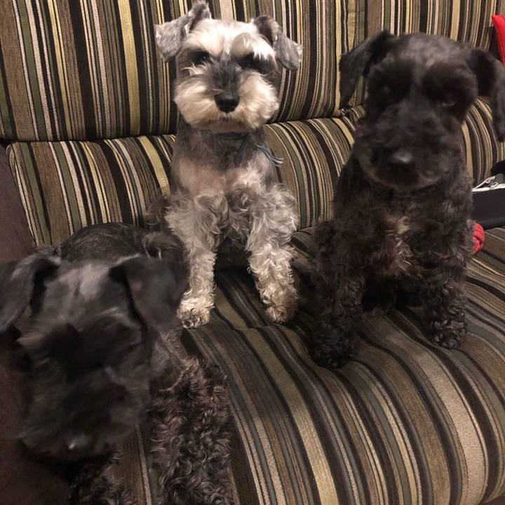 C98c0d10 c5ff 4416 acab 6aed14b4d482 1558443177597