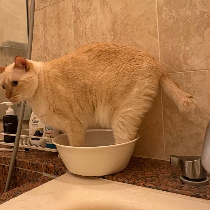 C98c652f 7d54 4315 aabe 773a51aac05c 1765667678449