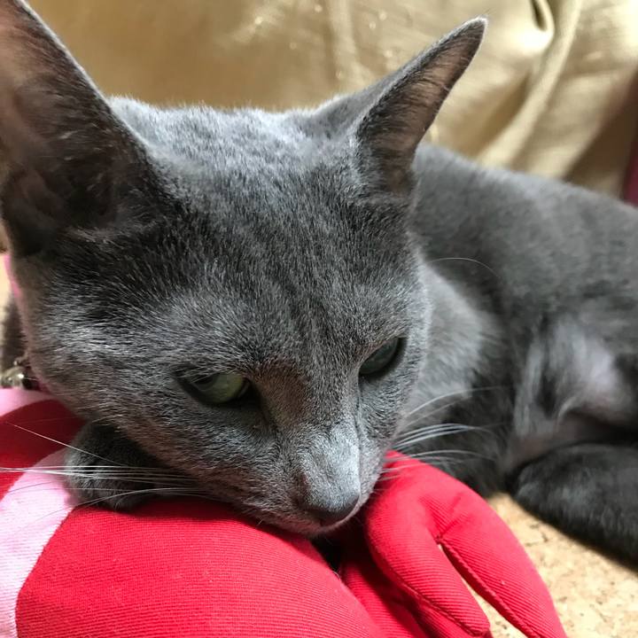 C98c6f1e 9cb1 4349 b3fe 22b372a7a977 1526267212546