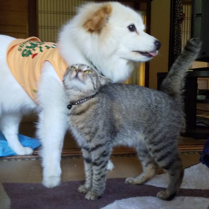 C98c8412 1a9b 4124 a800 34aad040f559 1563186848078