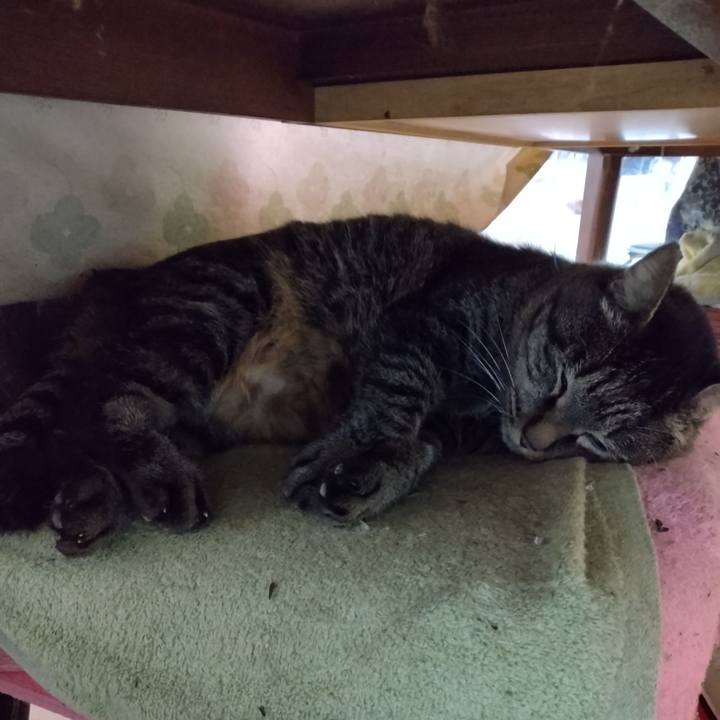 C98c9cd4 1c14 4fa2 b3ea 6e1b277378c8 1702686200499