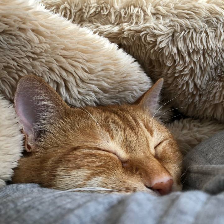 C98cbc44 52c5 4e9a 81c3 311bbd896fa4 1620036918277