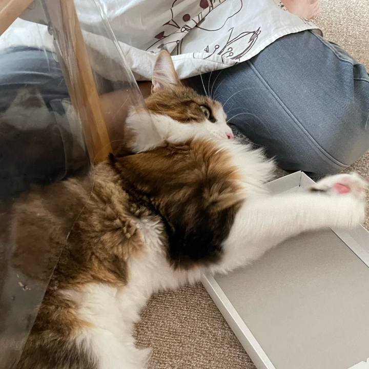 C98cbdea 7fbd 461f 8e9c 1c71a48981d2 1662880402812