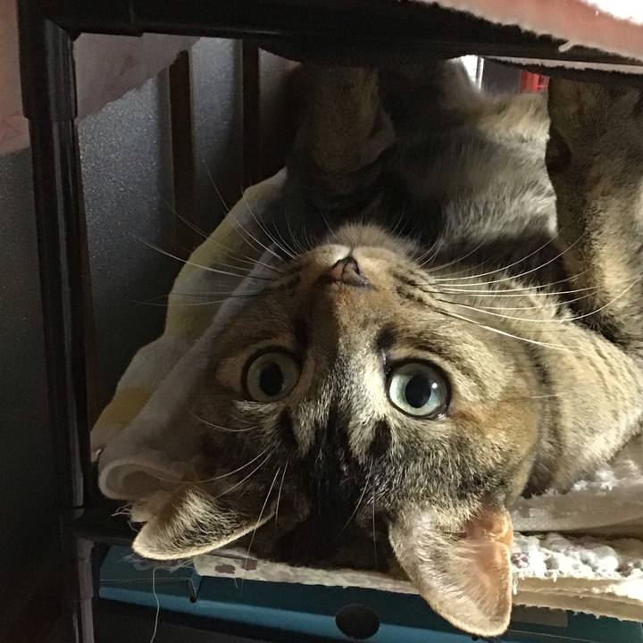 C98ccf66 caae 4a10 84ed 30b30bbd02d7 1635154764419