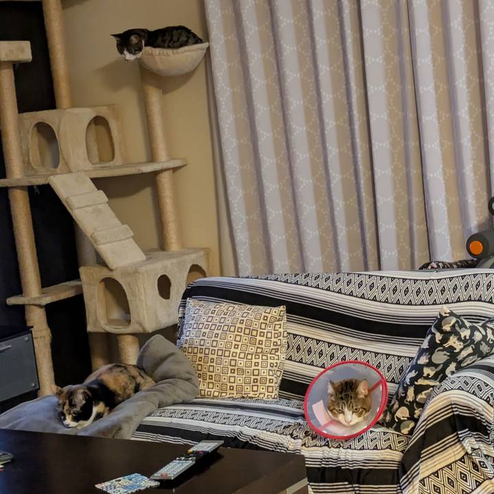 C98cf125 47ac 4b20 a8ab a986ef1c4645 1767945427942