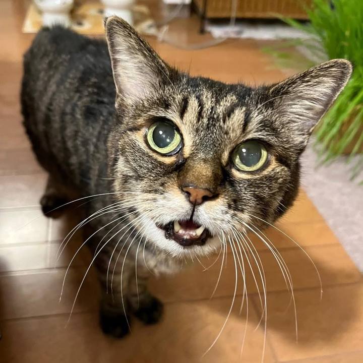 C98d1171 a11f 4d28 a7ed 12ee4b17ae7a 1763468855544