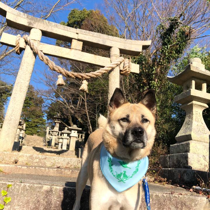 C98d297d dacf 4518 90a6 2b2d0759cd00 1577866415290