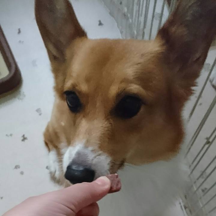 C98db0f7 b9de 4e5d aca7 b366c9241fc9 1535416666332