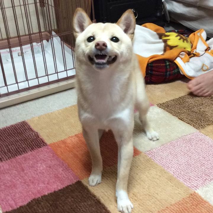 C98db8af f070 4b28 9b0e 8406844c9af4 1512991718046