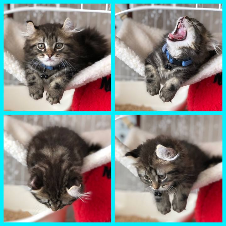 C98dd1f2 fdf2 4ef2 a4bc 84653677d1e2 1553828013243