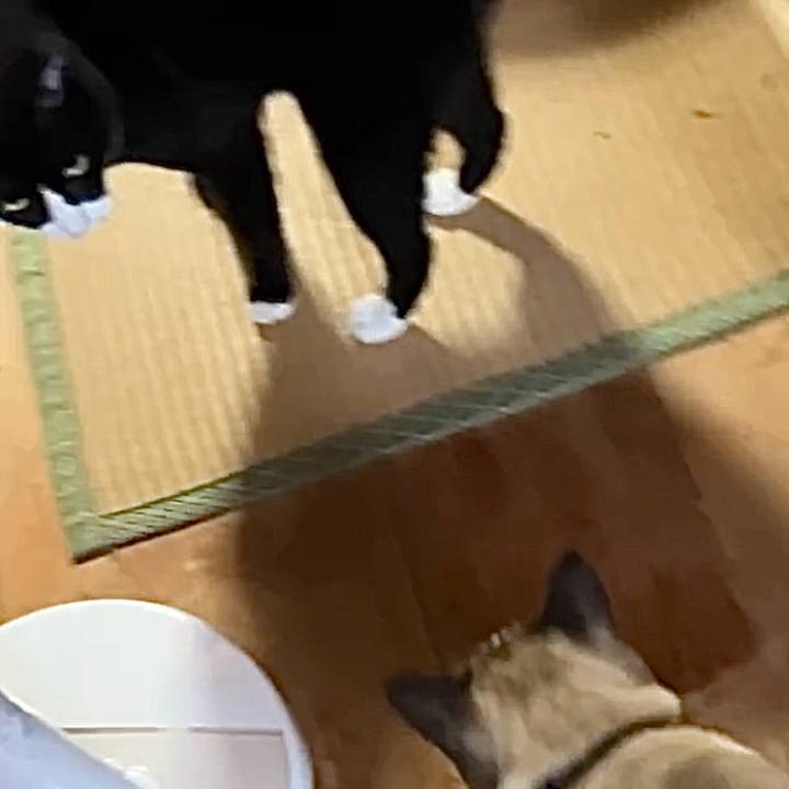 C98dec00 6feb 41d3 bbc0 1e6da796c183 1729935058847