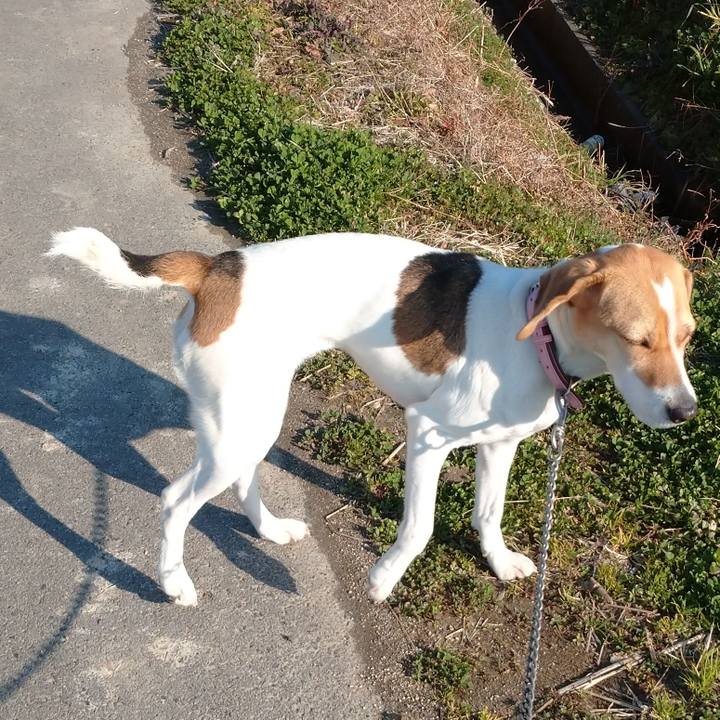 C98e0c64 c043 428b b579 9825fa647927 1581580781429