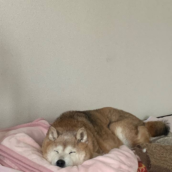 C98e3e58 3920 46a7 894c feec840d4cac 1672624766639