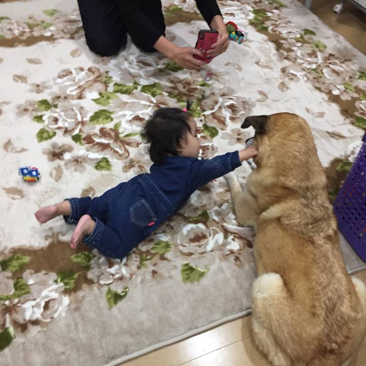 C98e3f79 30ad 46c9 844e 27413eca2cd4 1544270665441