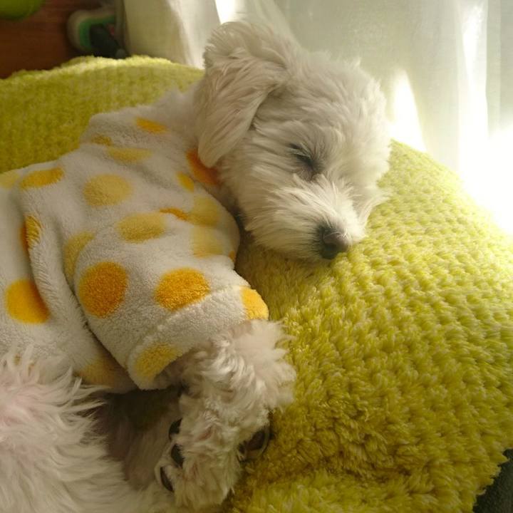 C98e415b 2486 450c 9b23 134b7d39dd77 1518684400632