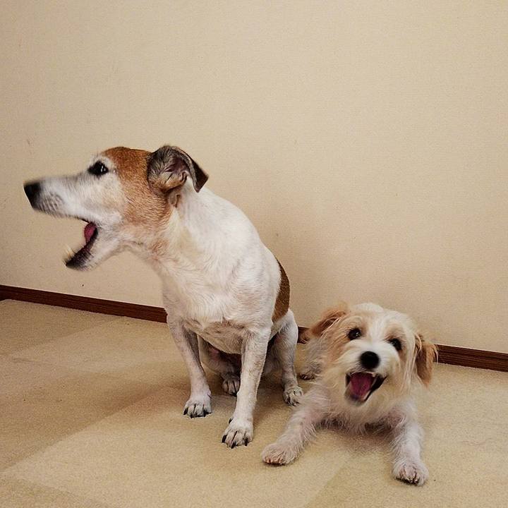 C98e4a72 aeb4 447e b77b 863a1cd6b87e 1565403563757