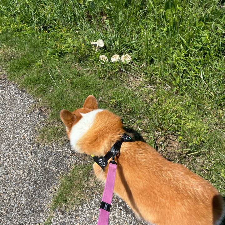 C98e54c7 2396 4768 97fd d46cd78dc7fb 1749175363268