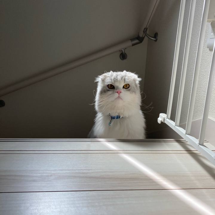 C98e730a e175 4719 a908 27a3a55ac95b 1617195653829