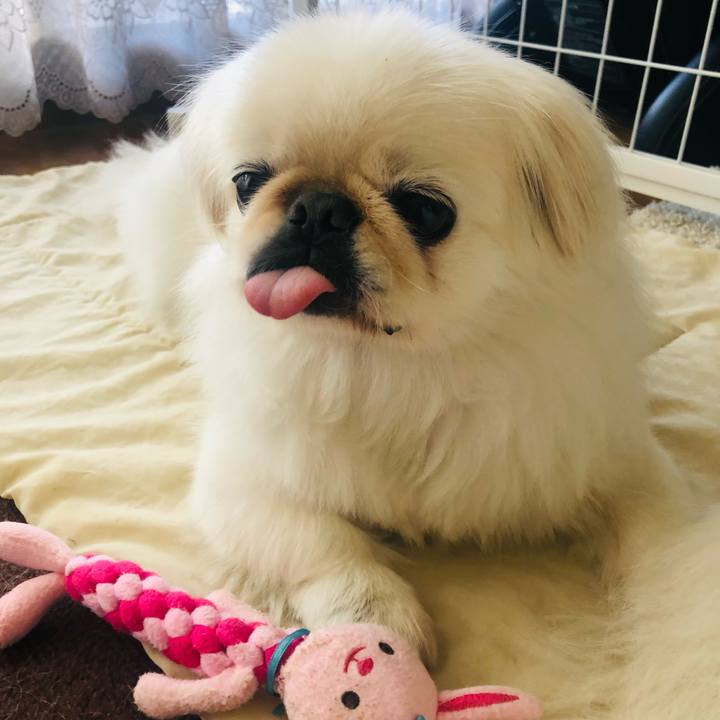 C98e7eb3 e8d4 4d15 ab59 61e7aefe4ae1 1624141840988