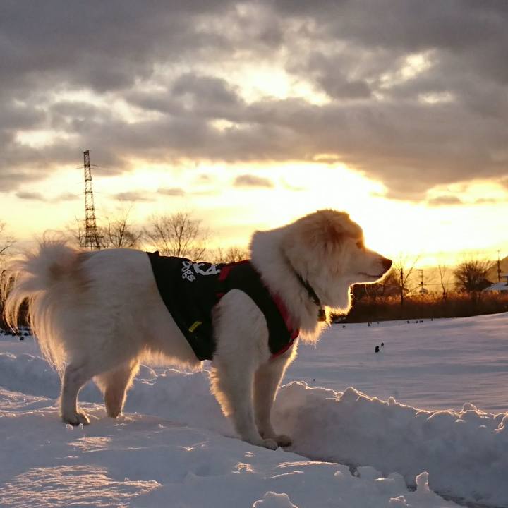 C98e86c1 b8c7 4d7c b887 8613dd2d4699 1515143170927