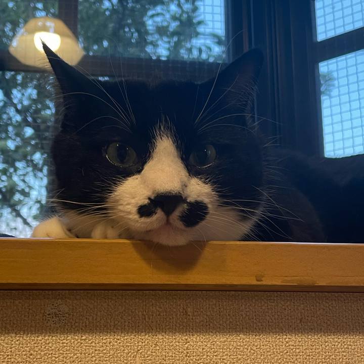 C98e91d4 3e01 4195 9749 cd35248037a0 1693214206874