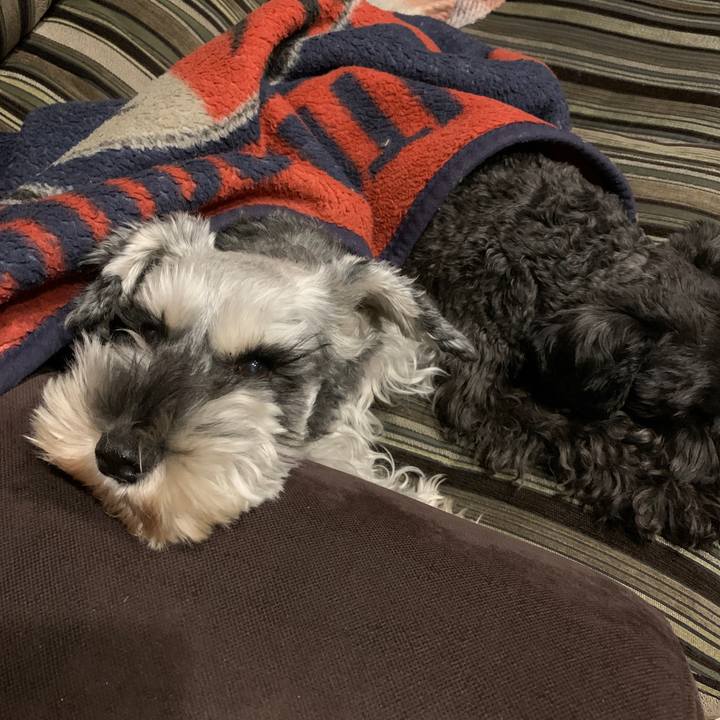 C98e9fba 8aa6 4443 917c 0cbbc68c80d1 1637237382631