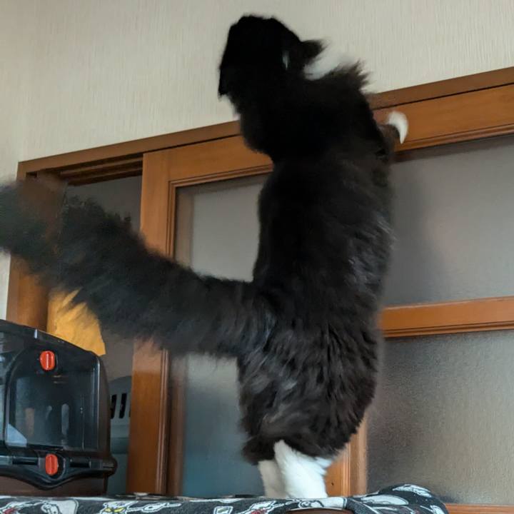 C98ebee8 ec69 4f3d b574 aef926ae8431 1719434358020