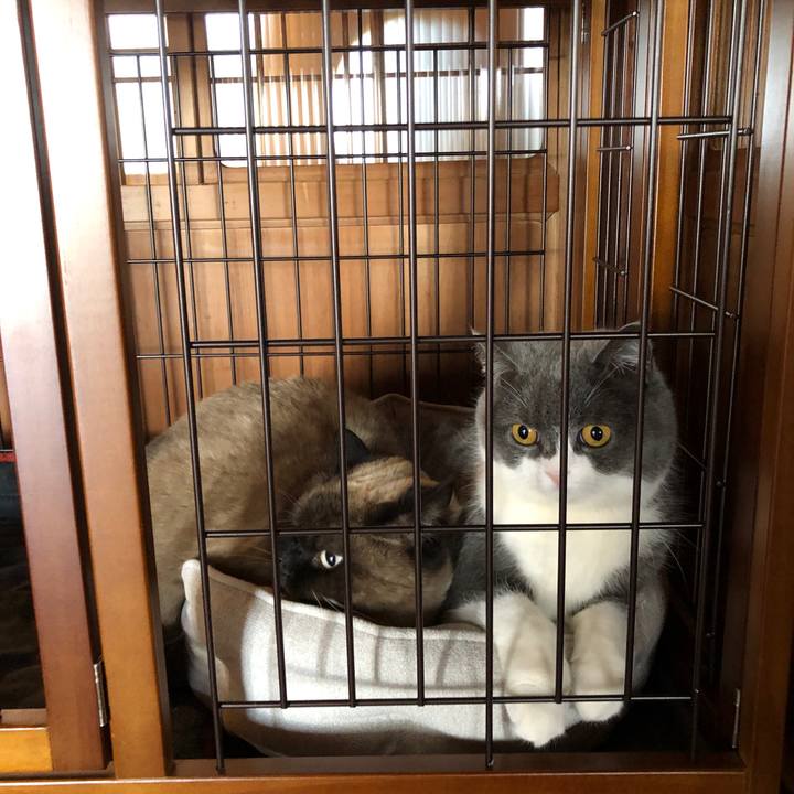 C98ec717 7811 4bbe b5a7 268938b62dc5 1614993910016