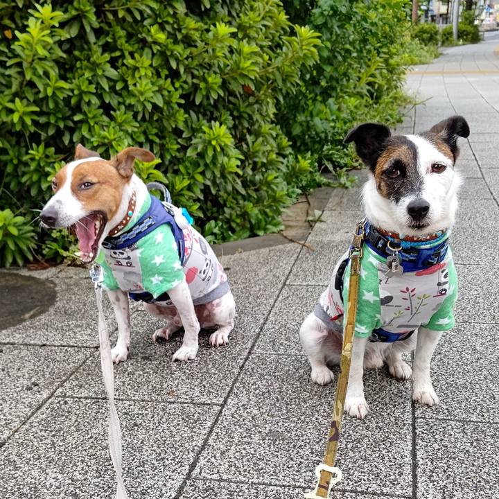 C98ec7de 1928 49d4 ba2c 59856cef40e1 1630793737580