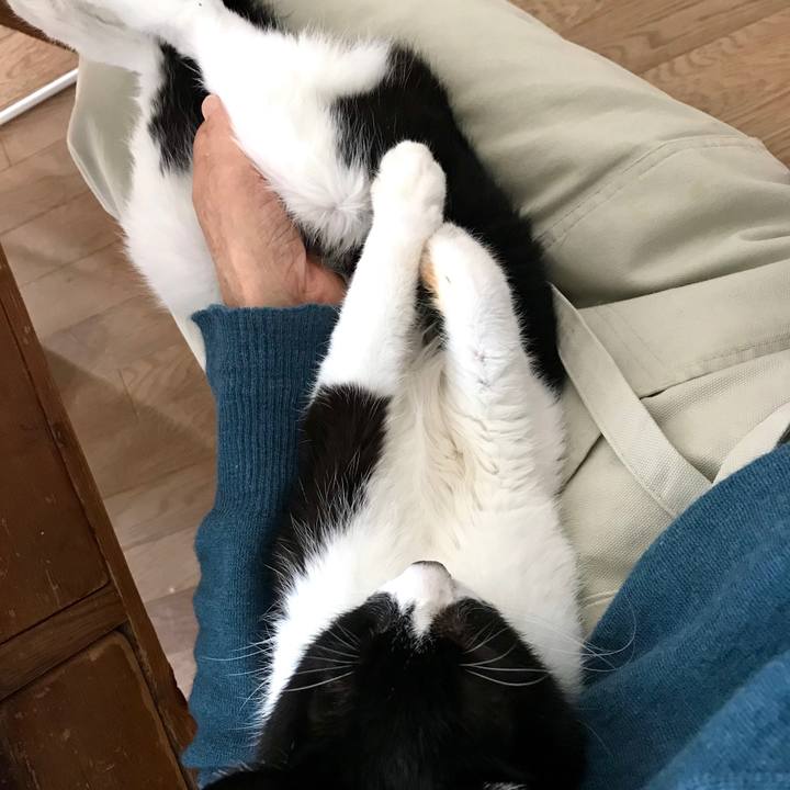 C98f20bf 8a31 4ace 9337 41b262dbfcf6 1578361876037