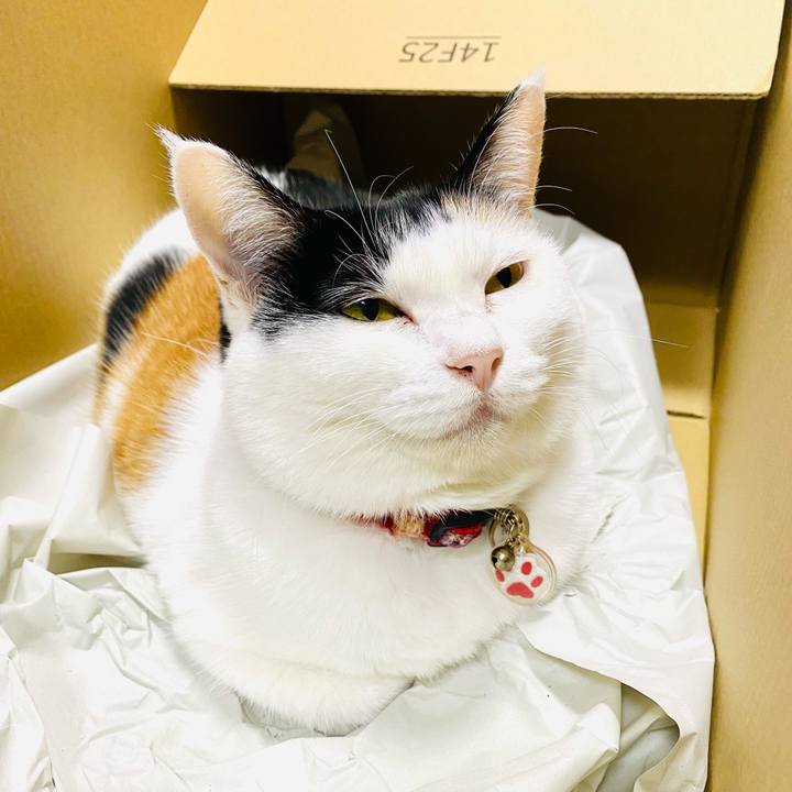 C98f4c91 715a 4cfa ba5b 4e060652a7b3 1730534011970