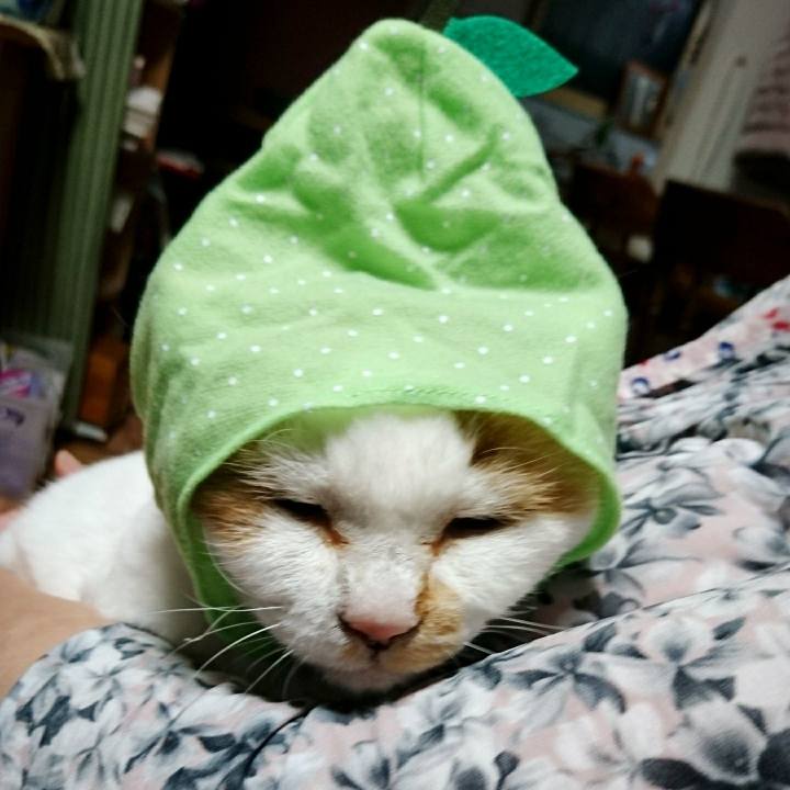 C98fbe88 5348 4bc4 88e3 a01d370dbd78 1566643678501