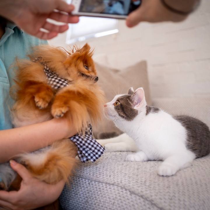 C98fda39 a6bf 4e62 8415 80c27e82f56b 1568051349910