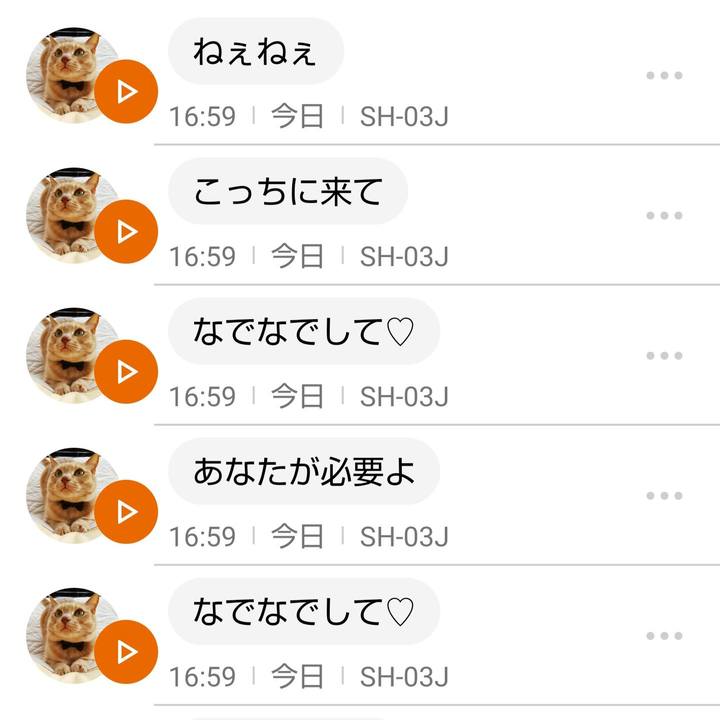 C98fdc07 2c0e 4f3d a1ff 13e07cbf85b2 1637399716127