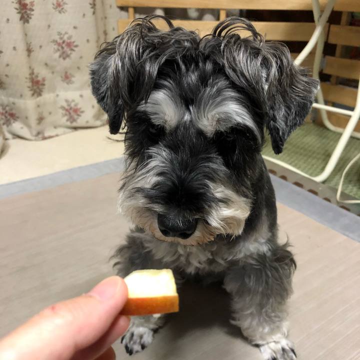 C98fe8d4 868f 44b9 bcd5 310fdfac502a 1633174195341