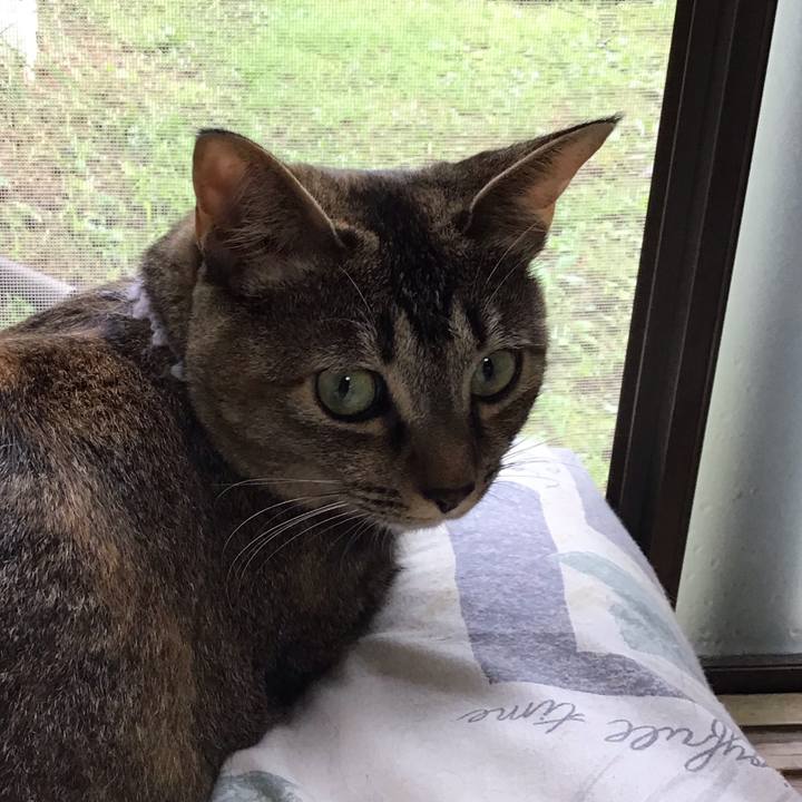 C990293f 9e27 4a35 8a79 8fa637698aca 1595651447864