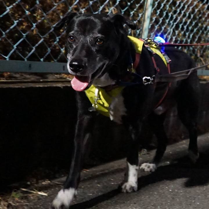 C99069db 02f5 4f28 be08 283671657cc2 1771844617756