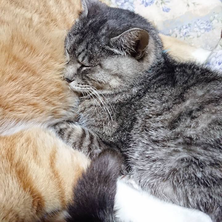 C990719f e0d7 472d aab4 79730ecd7571 1576325363769